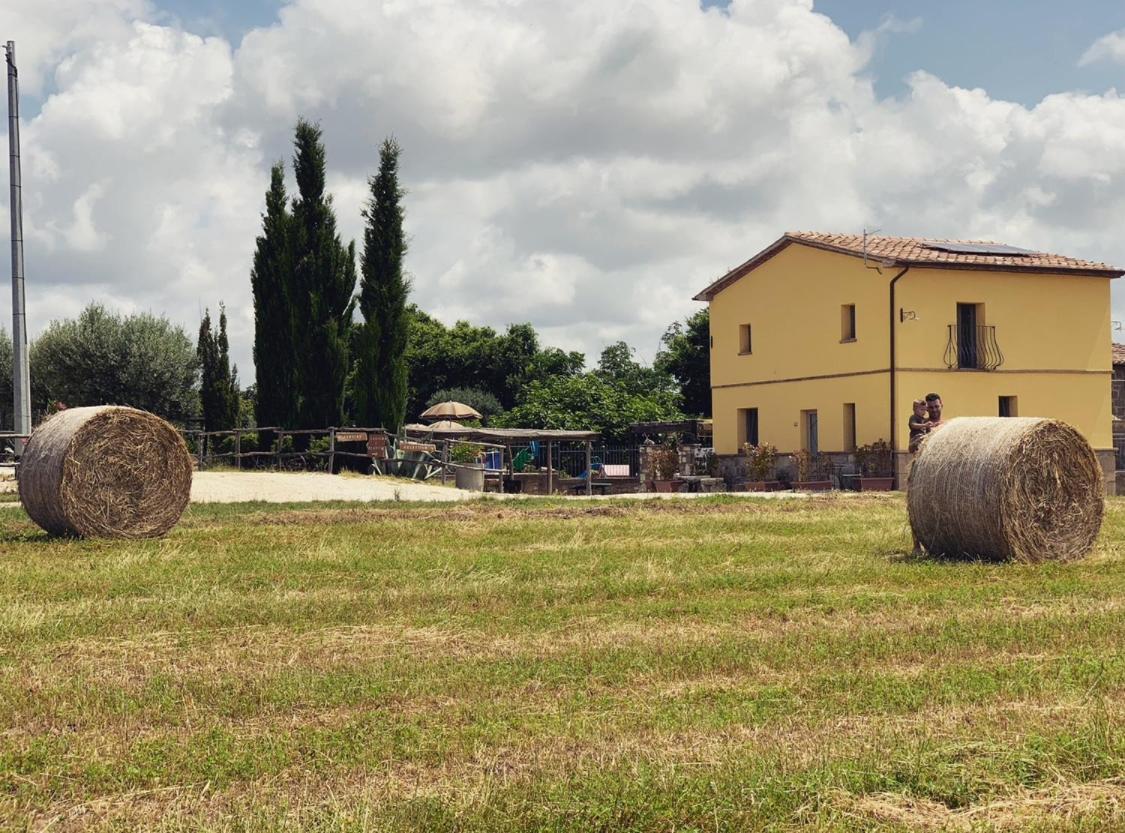 Podere Ficolivo 皮蒂利亚诺 外观 照片